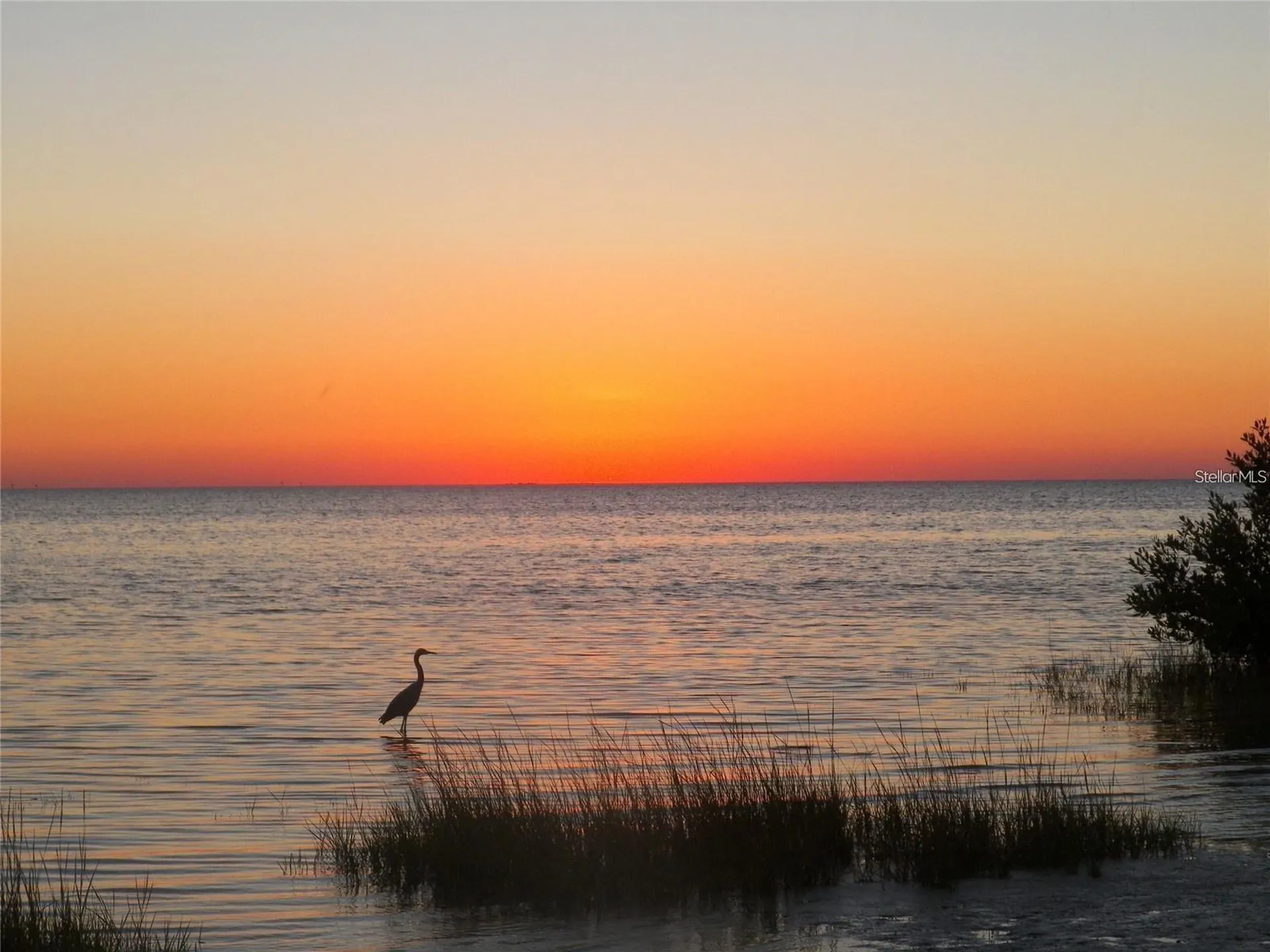 1-2 Green Key New Port Richey FL 34652