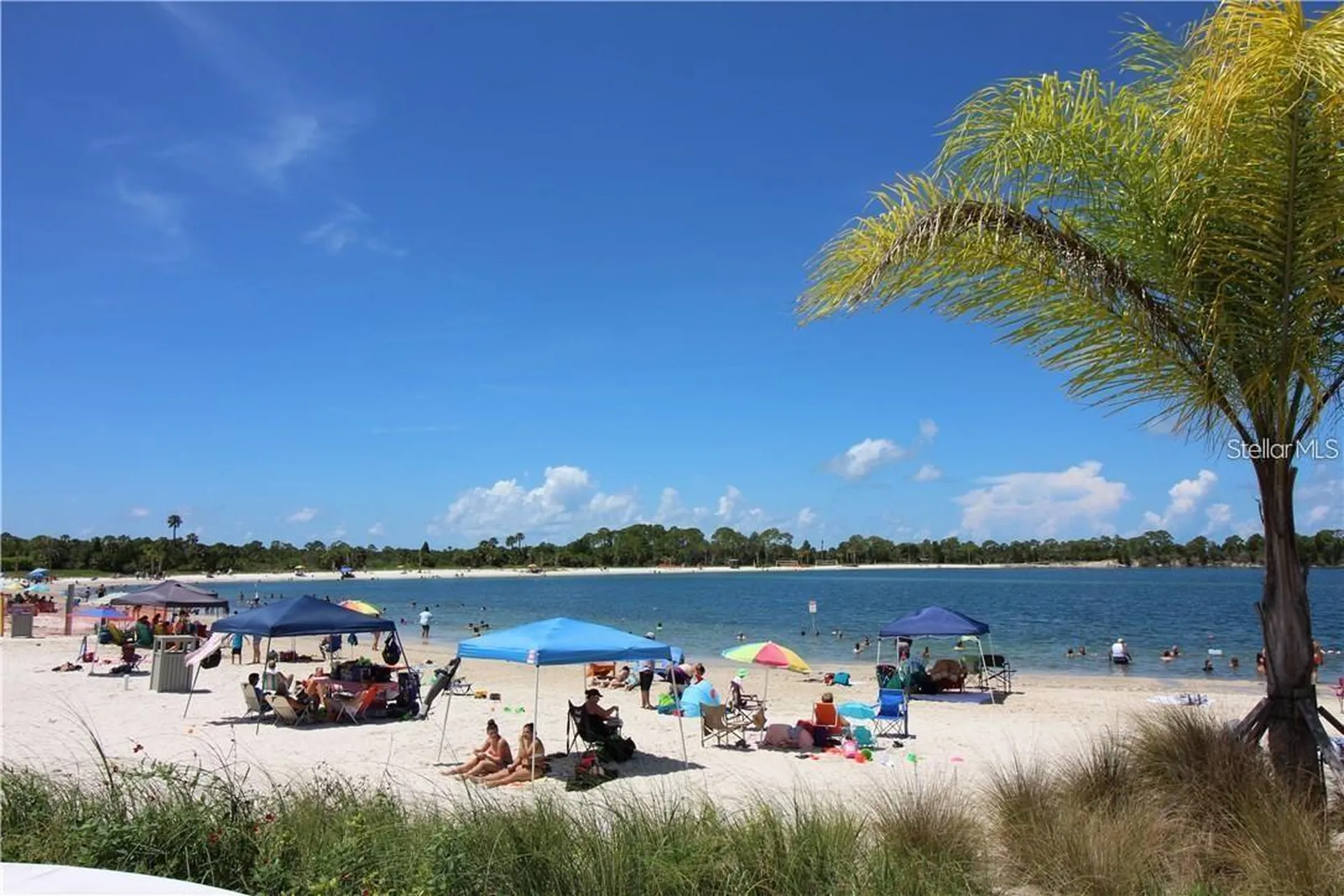 1-2 Green Key New Port Richey FL 34652