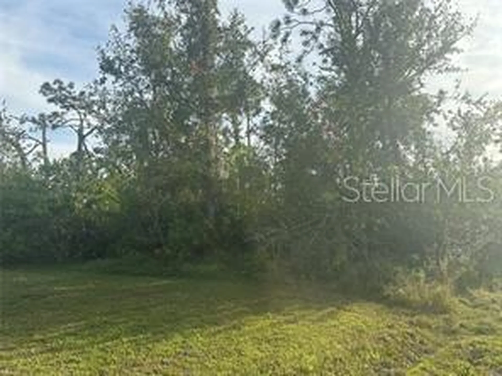 12405 Fairwind Avenue Port Charlotte FL 33981
