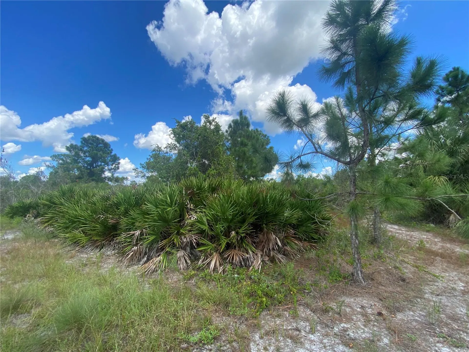 2808 45th Street W Lehigh Acres FL 33971
