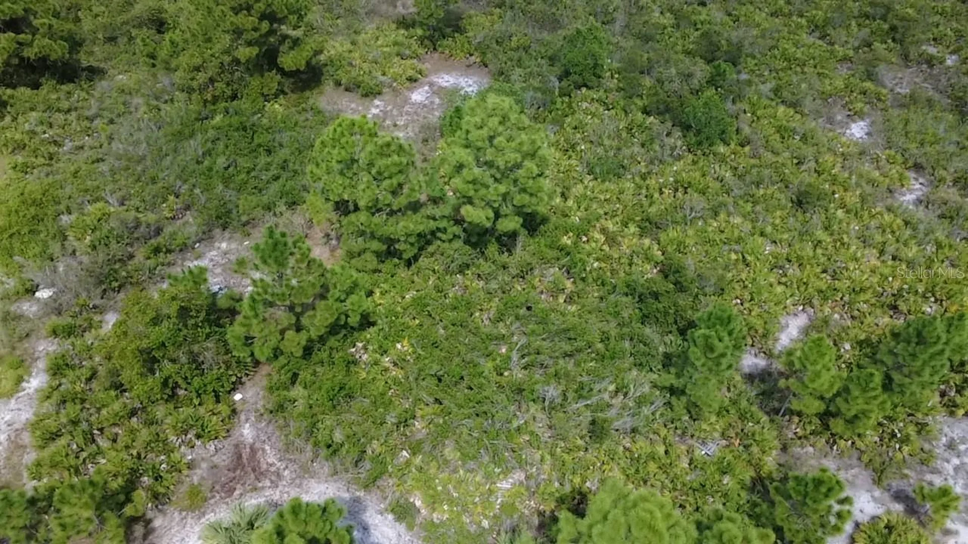 2808 45th Street W Lehigh Acres FL 33971