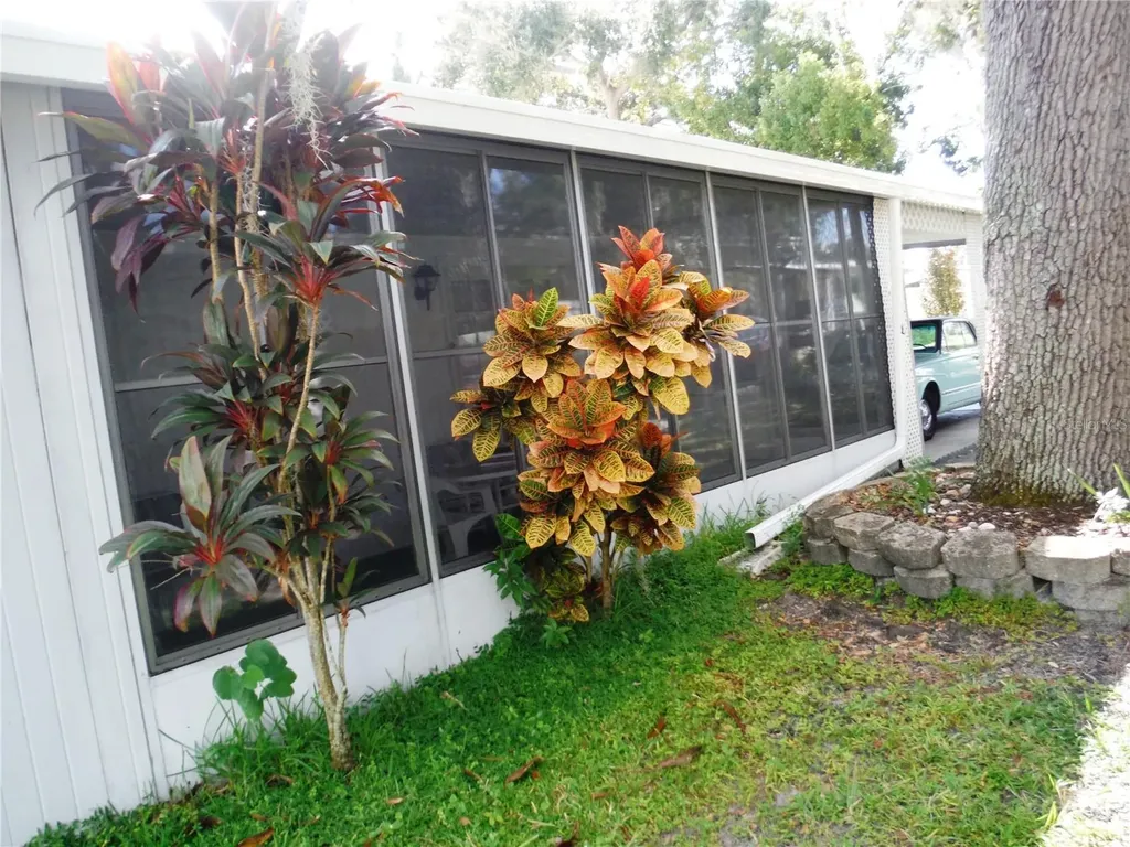 139 Forest Lane Safety Harbor FL 34695