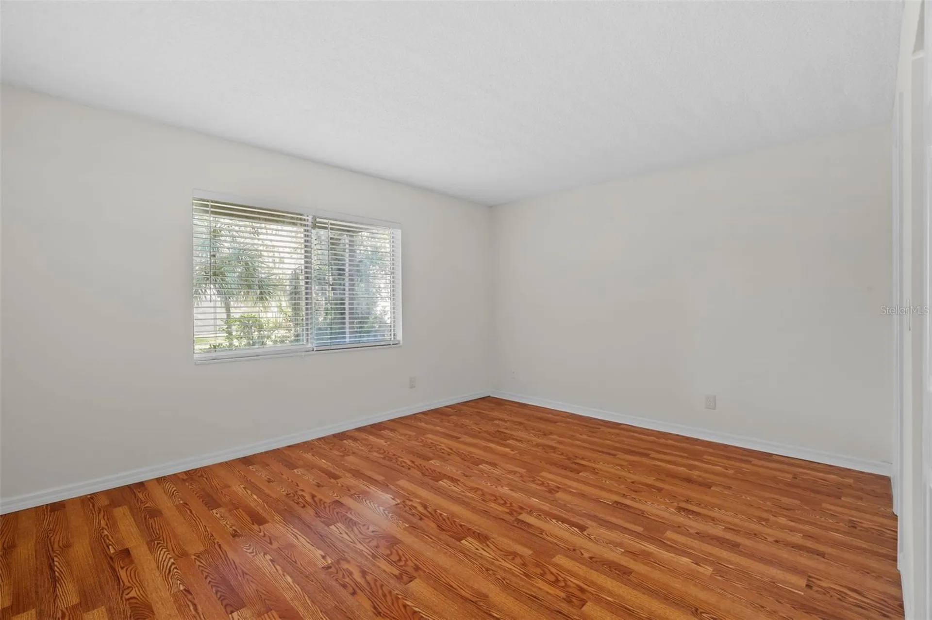 7505 Pitch Pine Circle Tampa FL 33617