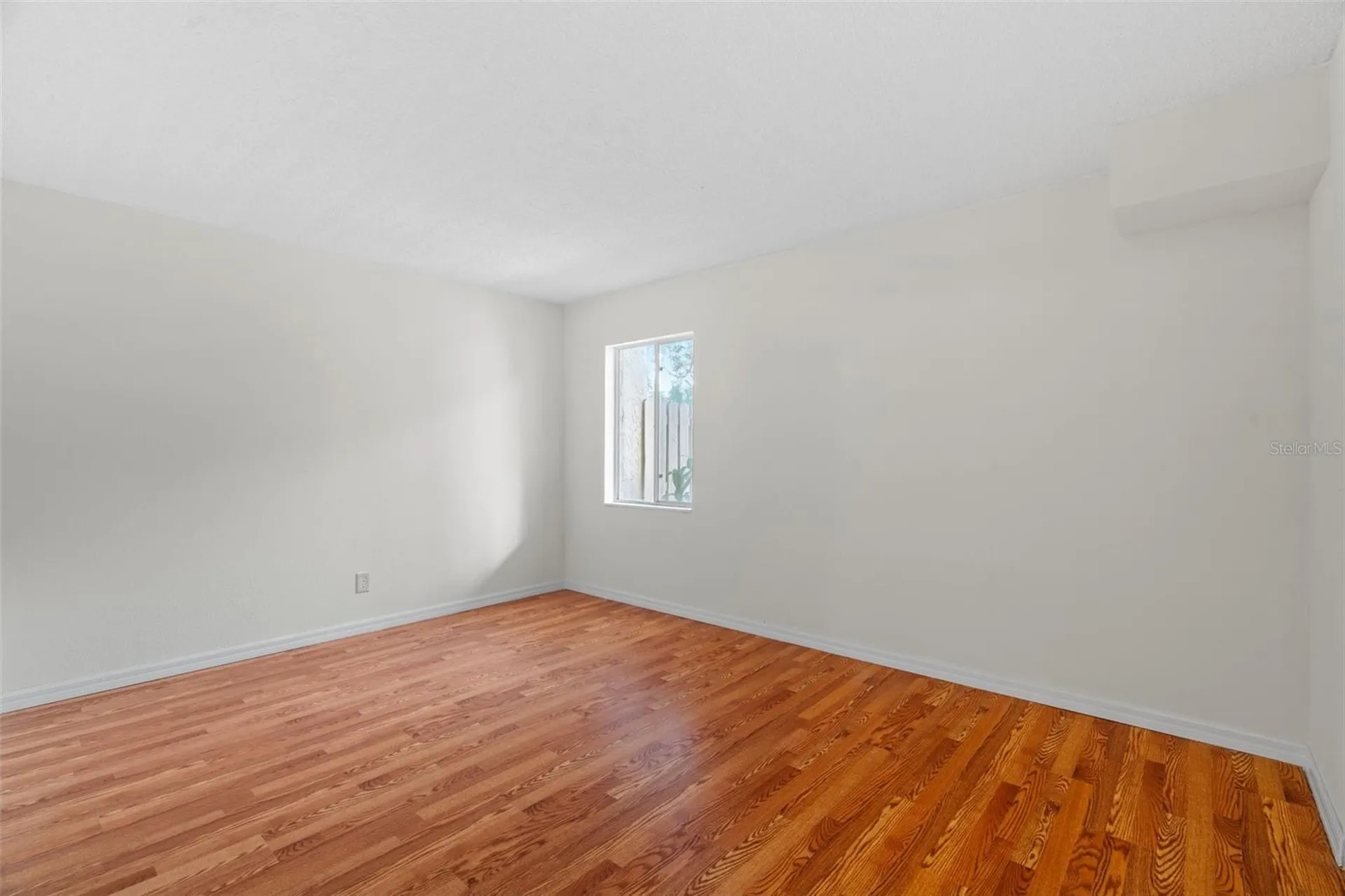 7505 Pitch Pine Circle Tampa FL 33617