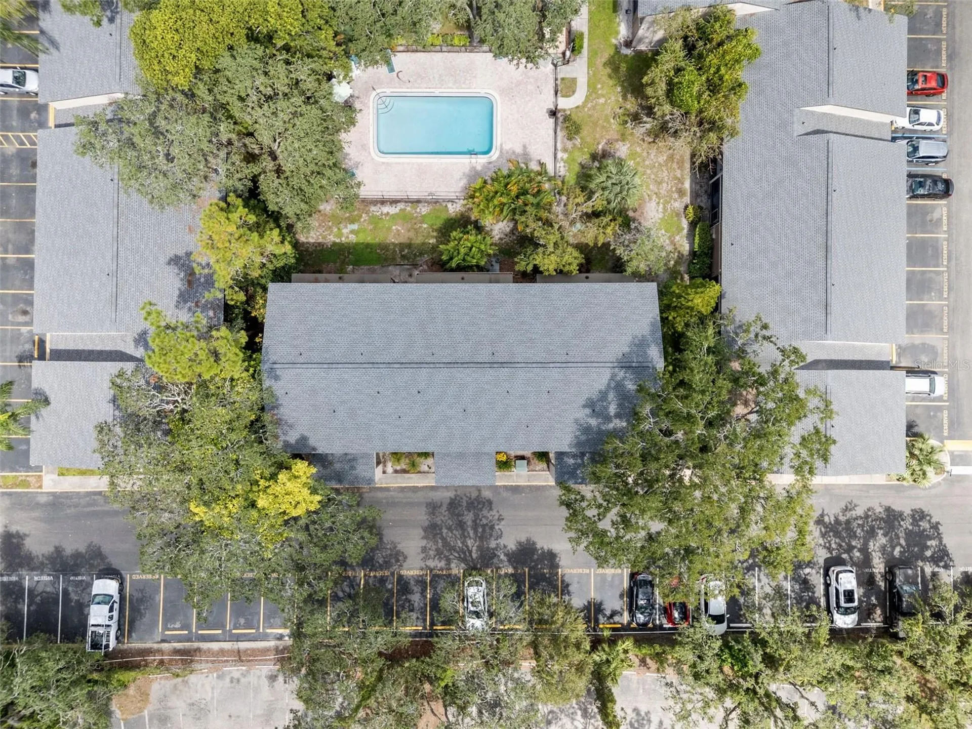 7505 Pitch Pine Circle Tampa FL 33617