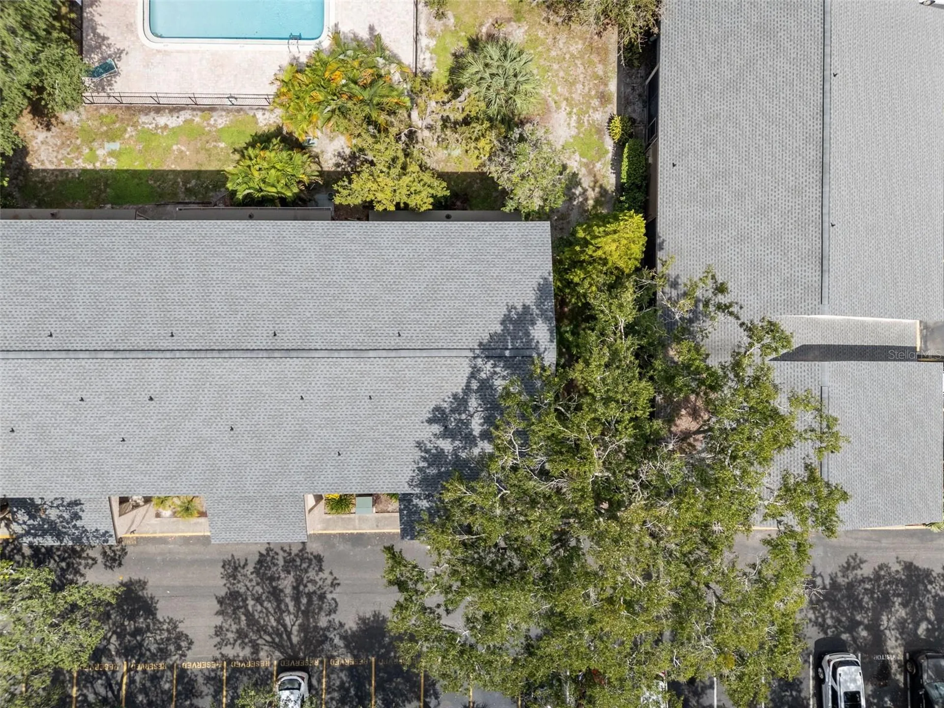 7505 Pitch Pine Circle Tampa FL 33617