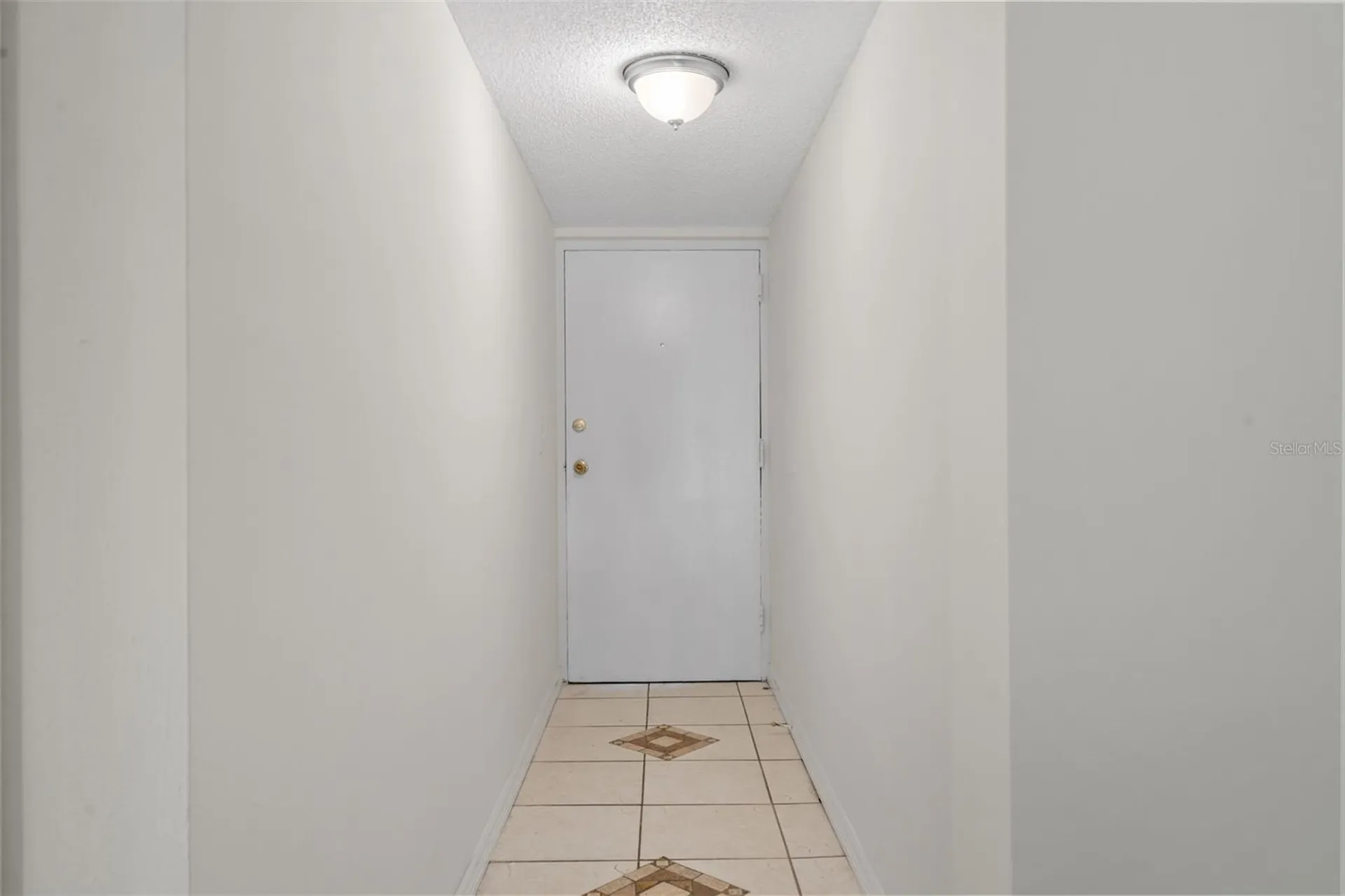 7505 Pitch Pine Circle Tampa FL 33617