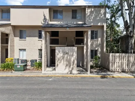 7505 Pitch Pine Circle Tampa FL 33617