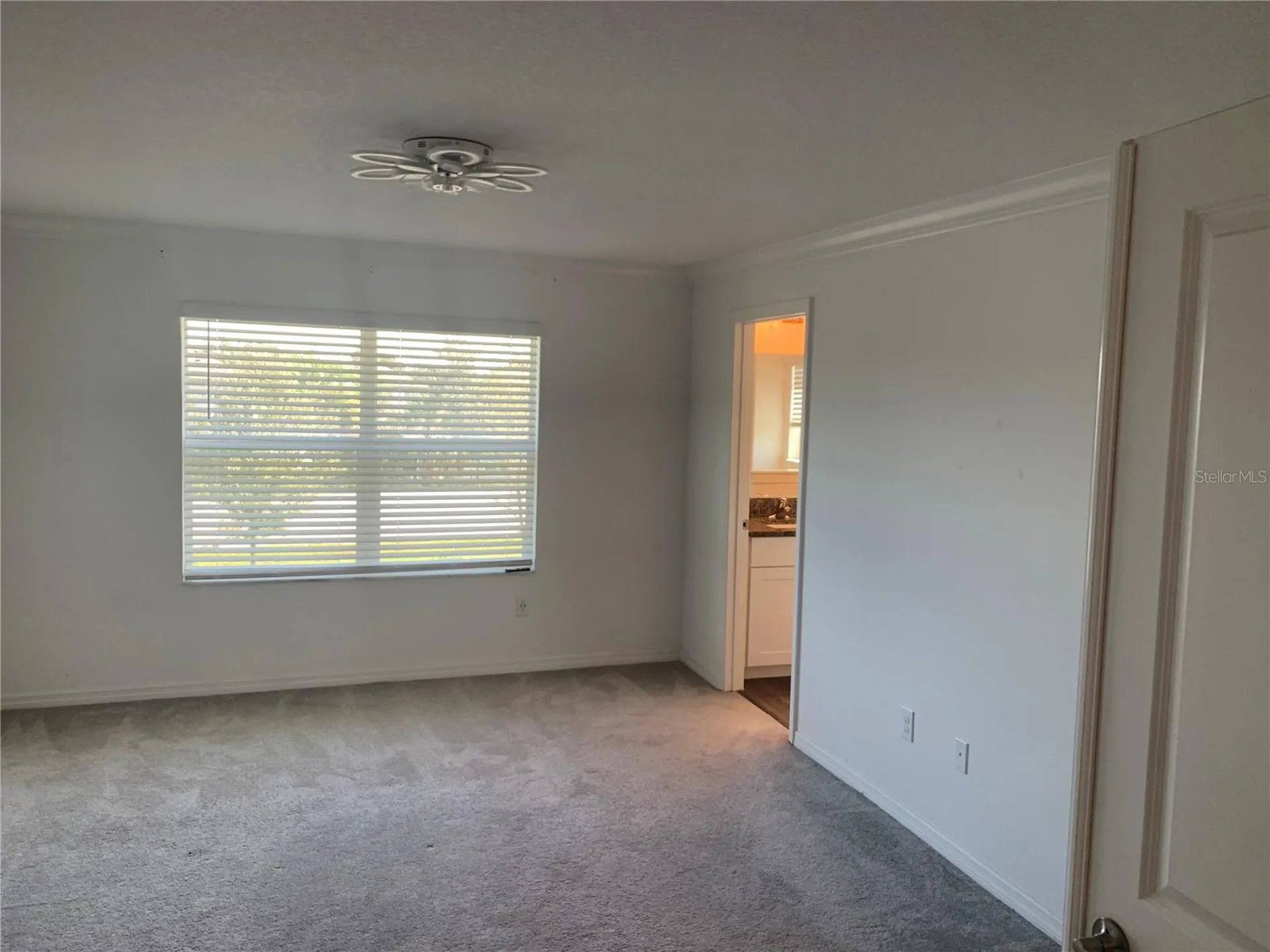6930 Ripple Pond Loop Zephyrhills FL 33541