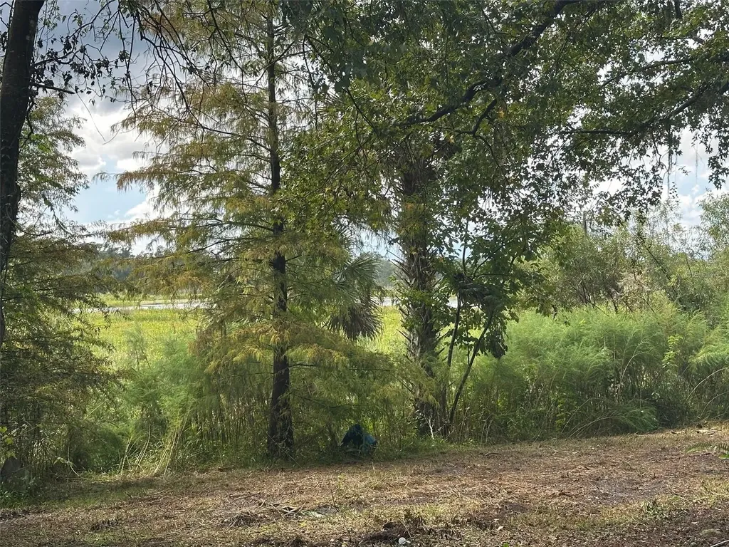 6661 E Turner Camp Road Inverness FL 34453