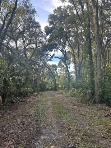 6661 E Turner Camp Road Inverness FL 34453