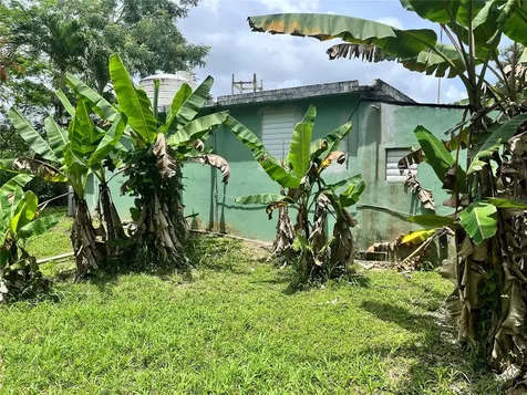 935 Ceiba Norte Juncos PR 00777