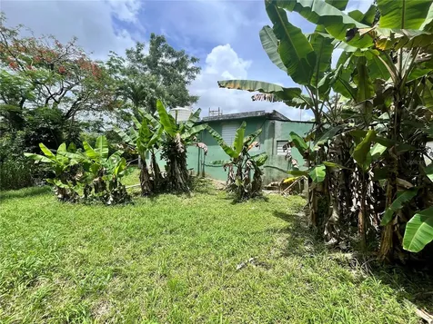 935 Ceiba Norte Juncos PR 00777