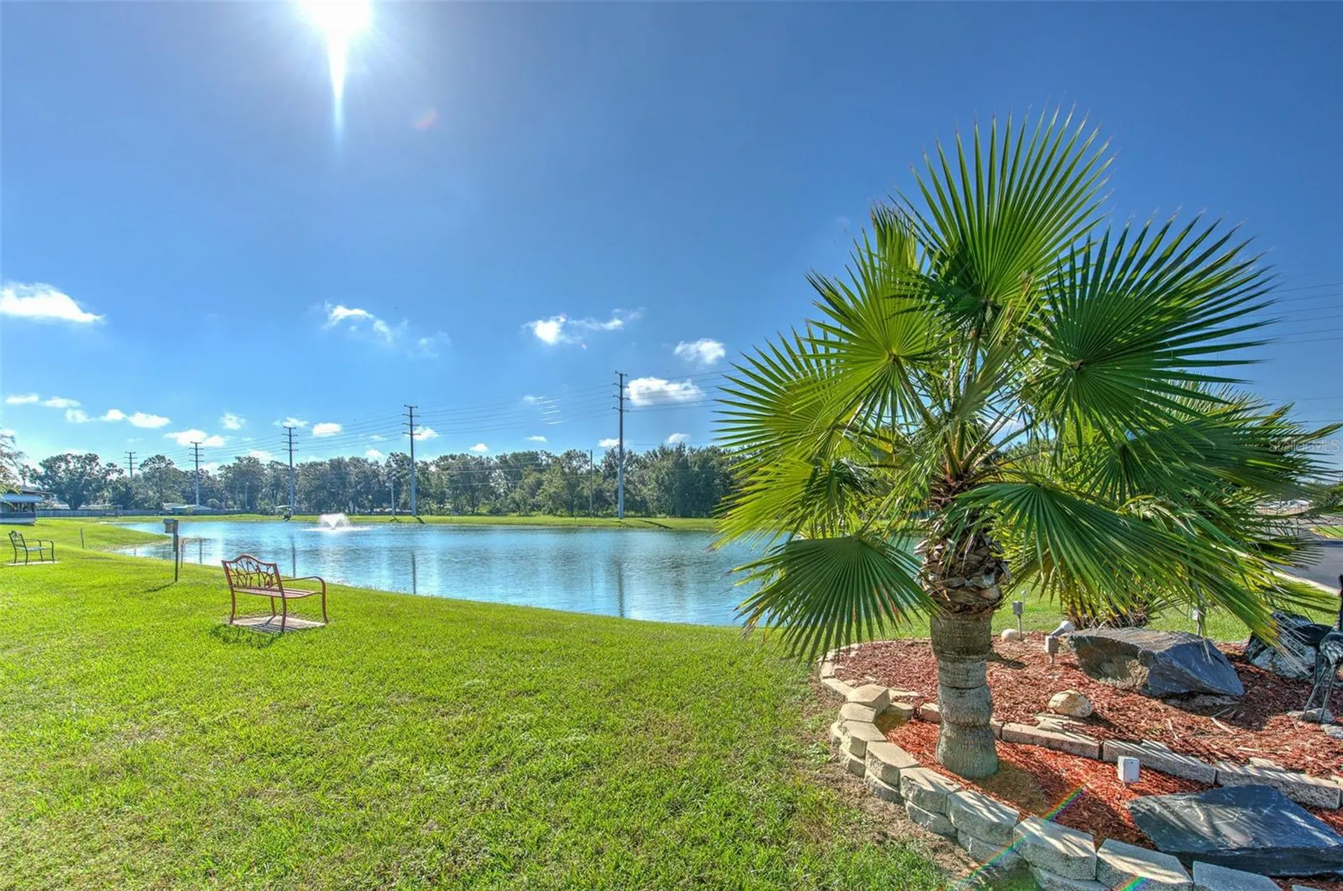 37605 Amigo Drive Zephyrhills FL 33541