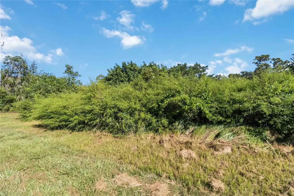 0 Edsel Avenue St Cloud FL 34772
