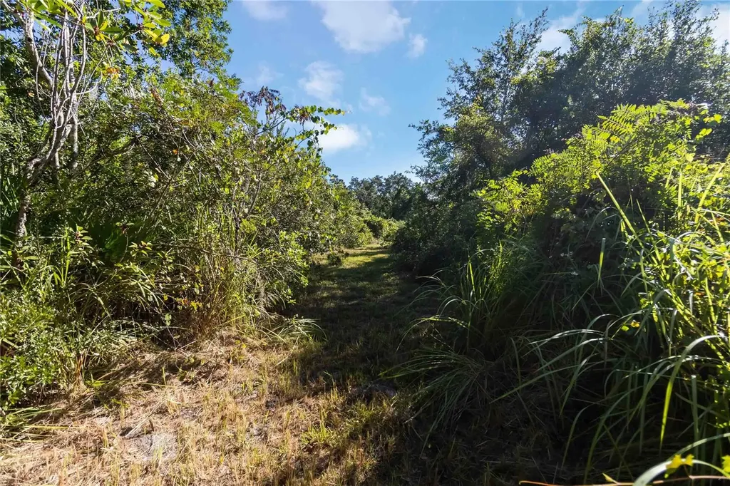 0 Edsel Avenue St Cloud FL 34772