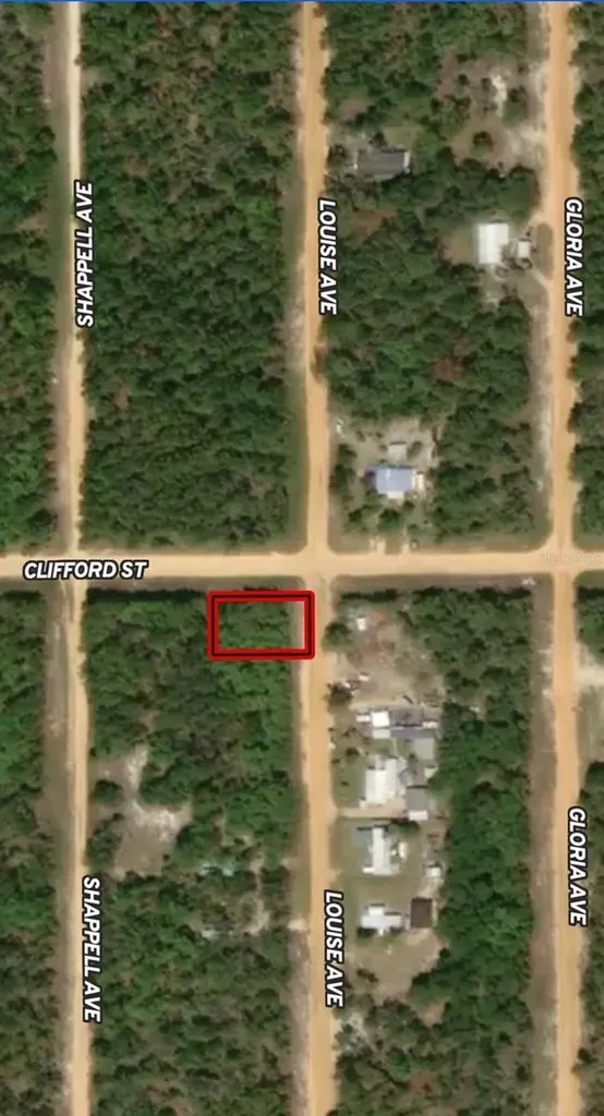 Lot 36 Louise Avenue Interlachen FL 32148