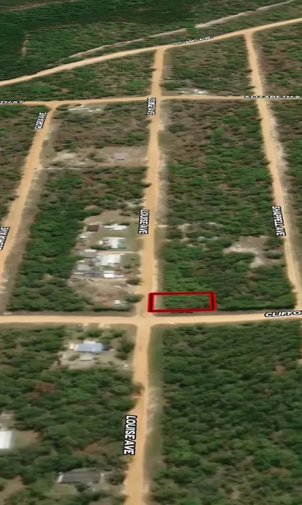 Lot 36 Louise Avenue Interlachen FL 32148