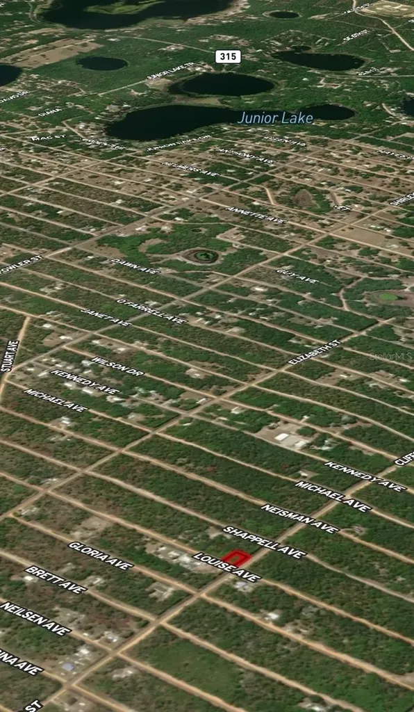 Lot 36 Louise Avenue Interlachen FL 32148