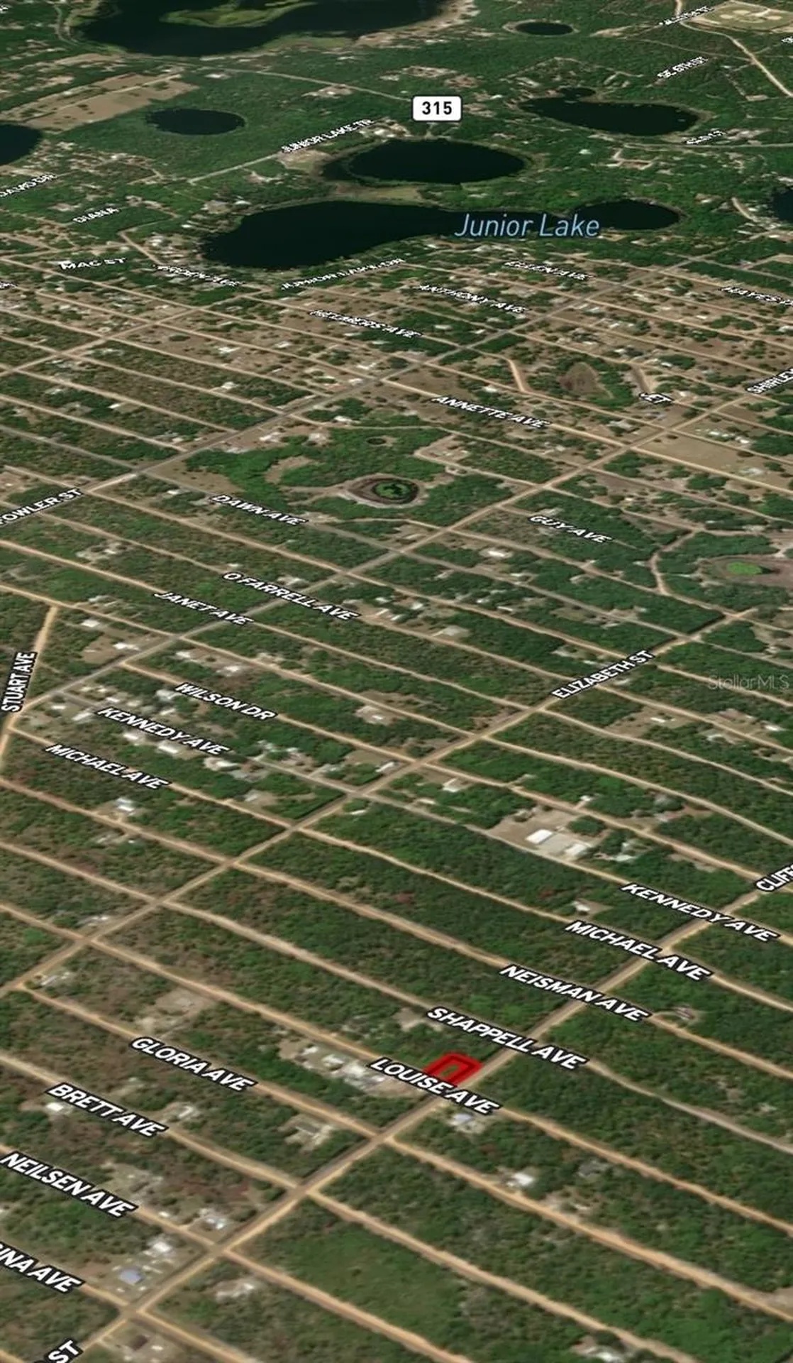 Lot 36 Louise Avenue Interlachen FL 32148