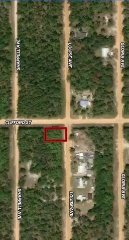 Lot 36 Louise Avenue Interlachen FL 32148