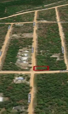 Lot 36 Louise Avenue Interlachen FL 32148