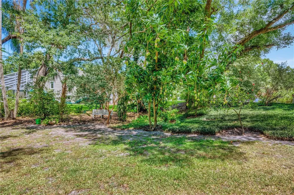 11526 River Country Drive Riverview FL 33569