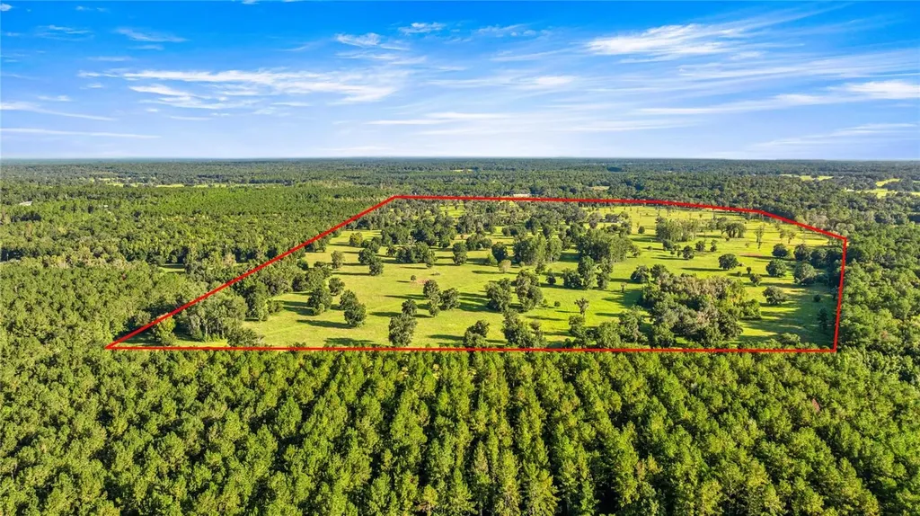 17748 N Highway 329 Reddick FL 32686