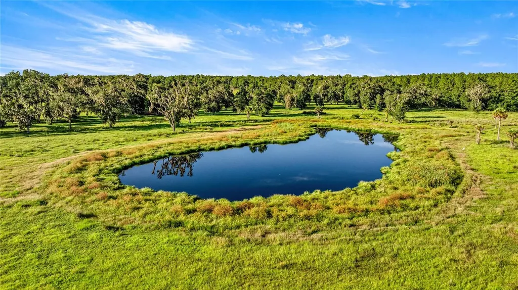 17748 N Highway 329 Reddick FL 32686