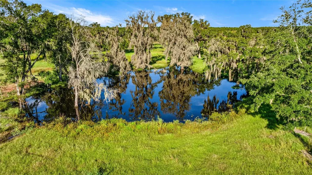 17748 N Highway 329 Reddick FL 32686