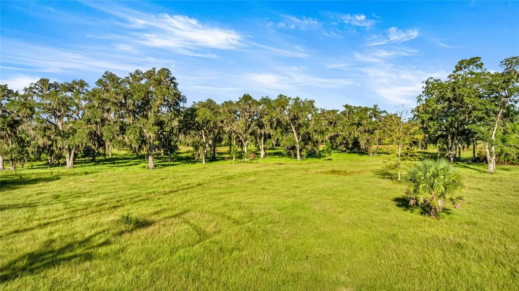 17748 N Highway 329 Reddick FL 32686