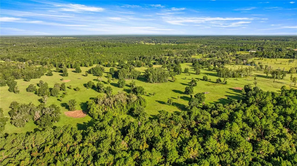 17748 N Highway 329 Reddick FL 32686