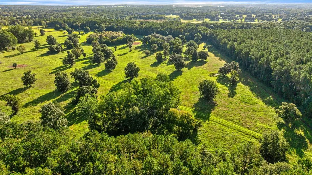 17748 N Highway 329 Reddick FL 32686