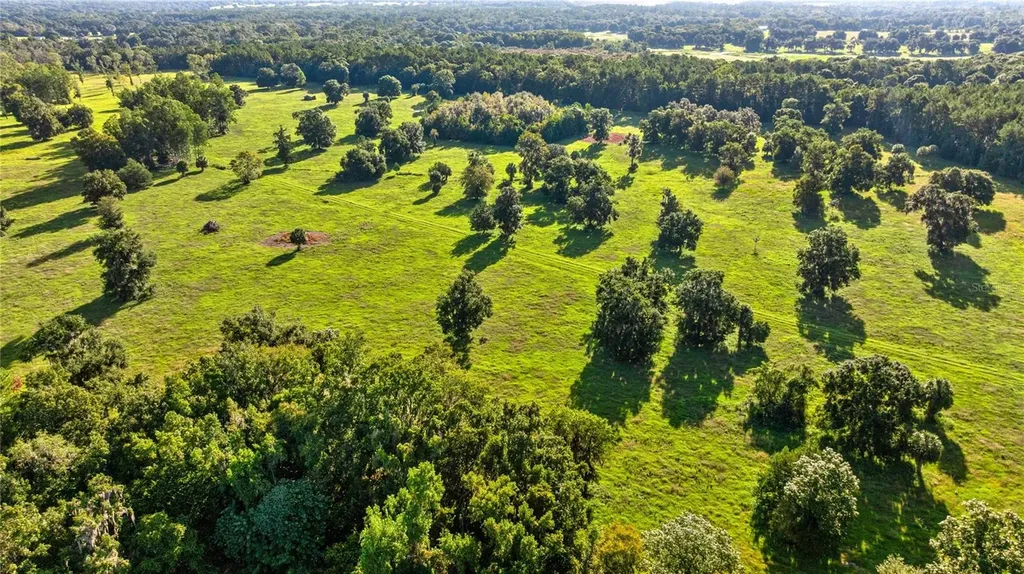 17748 N Highway 329 Reddick FL 32686
