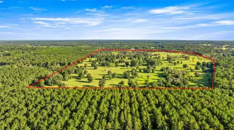 17748 N Highway 329 Reddick FL 32686
