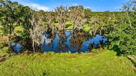 17748 N Highway 329 Reddick FL 32686