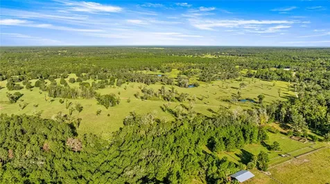 17748 N Highway 329 Reddick FL 32686