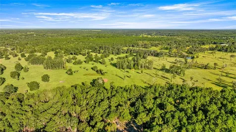 17748 N Highway 329 Reddick FL 32686