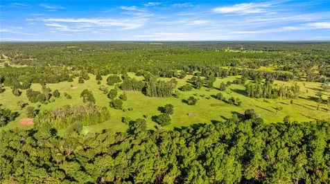 17748 N Highway 329 Reddick FL 32686