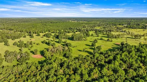 17748 N Highway 329 Reddick FL 32686