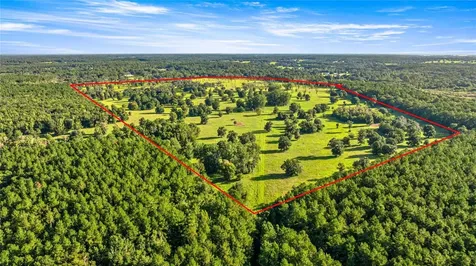17748 N Highway 329 Reddick FL 32686