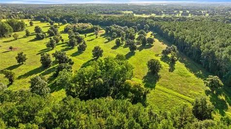 17748 N Highway 329 Reddick FL 32686