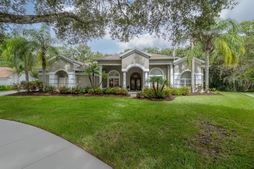 15801 Dawson Ridge Drive Tampa FL 33647