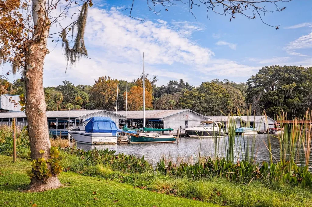 8852 Bridgeport Bay Circle Mount Dora FL 32757
