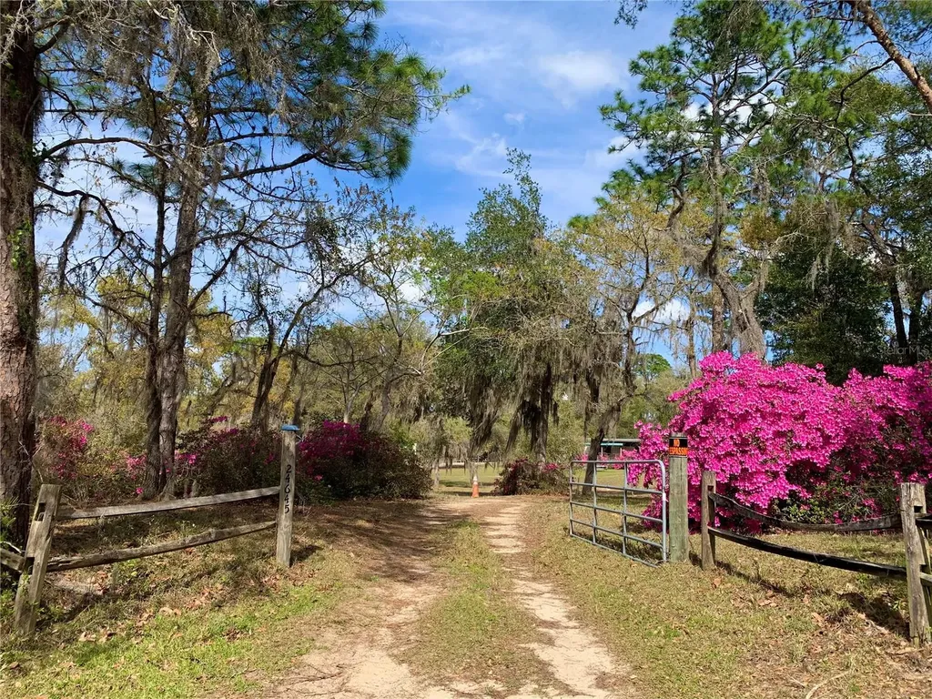 24645 And 24605 NE 177th Terrace Fort Mc Coy FL 32134