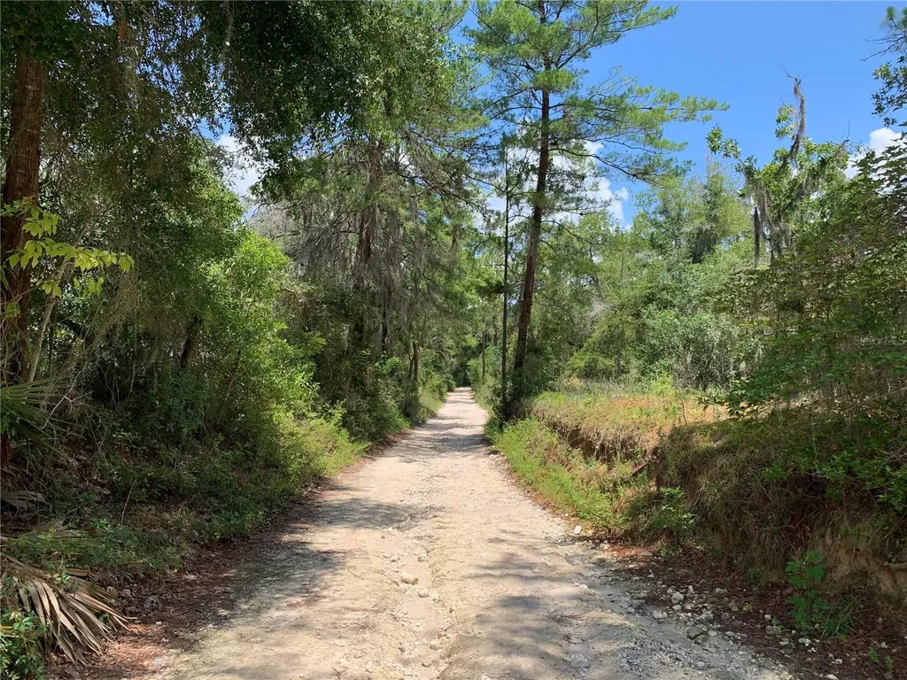 24645 And 24605 NE 177th Terrace Fort Mc Coy FL 32134