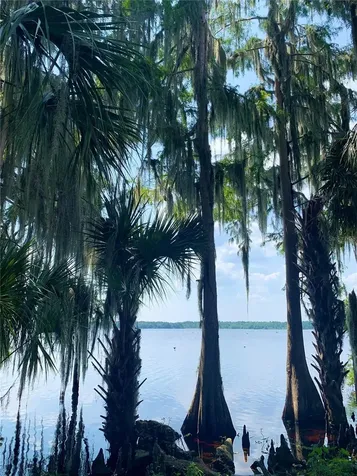 24645 And 24605 NE 177th Terrace Fort Mc Coy FL 32134