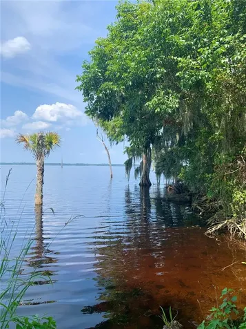 24605 And 24645 NE 177th Terrace Fort Mc Coy FL 32134