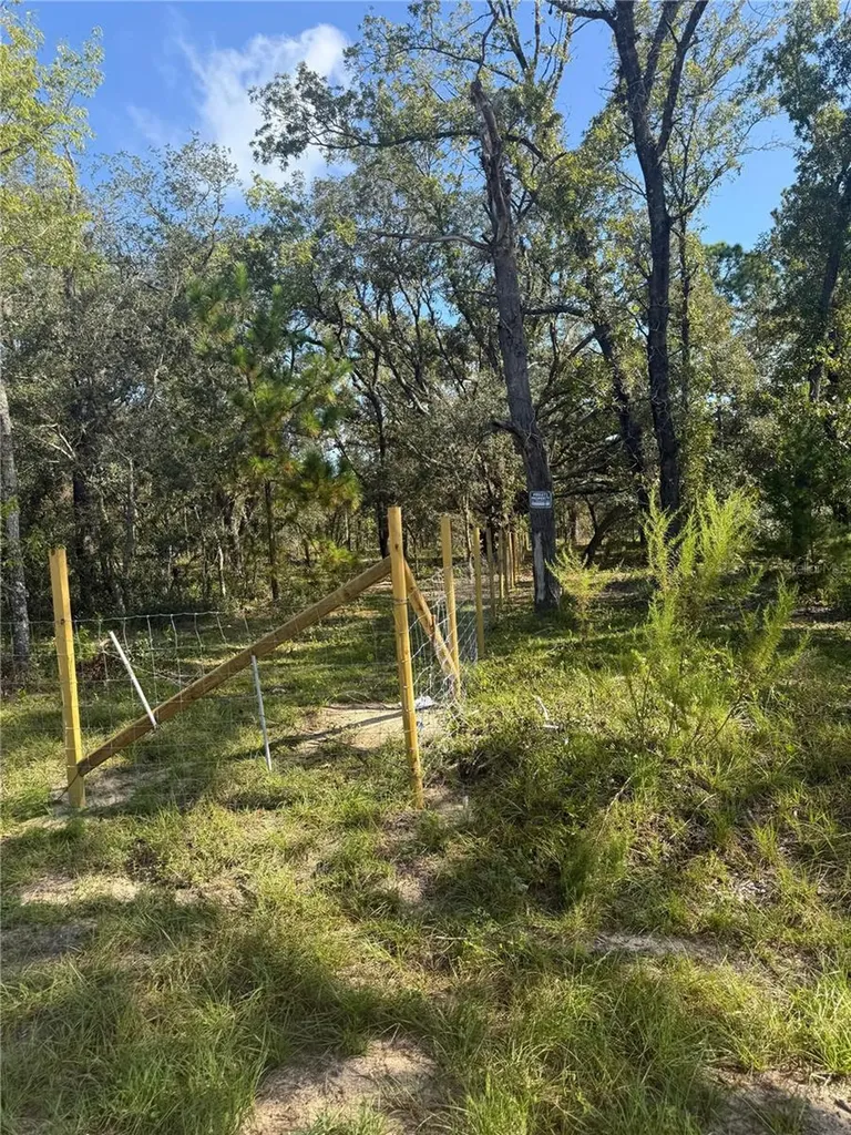 SE 112 Place Ocklawaha FL 32179