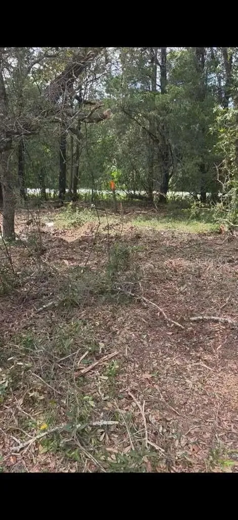 SE 112 Place Ocklawaha FL 32179
